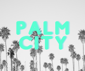 palm city movers